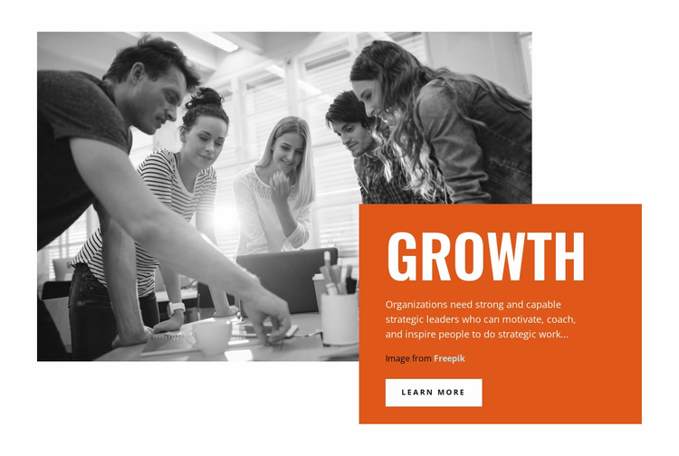 Zakelijke groei Website ontwerp