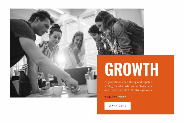 Business growth  Landing Page