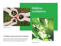 Hábitos Ecológicos - Plantilla De Comercio Electrónico