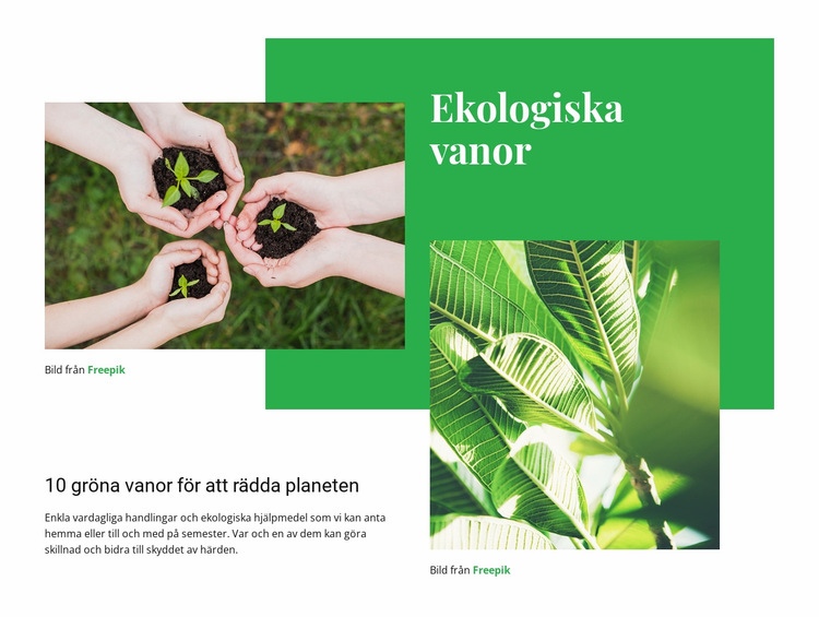 Ekologiska vanor Hemsidedesign