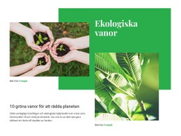 Ekologiska Vanor - Webbplatsmall För Företagspremium