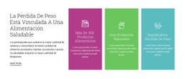 Plan De Nutrición Saludable: Plantilla HTML5 Definitiva
