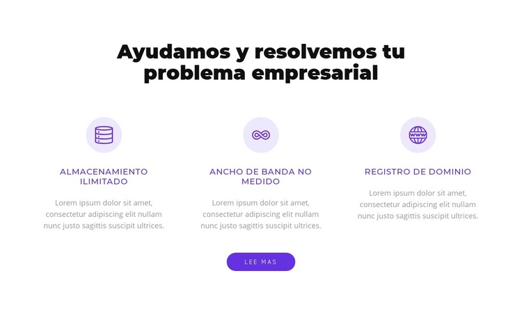 Solucionamos su problema de negocio Tema de WordPress