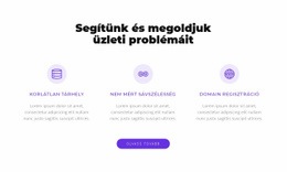 Megoldjuk Az Elfoglaltságod Problémáját – Modern WordPress Téma