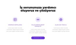 İş Sorununuzu Çözüyoruz Için Çok Amaçlı Tek Sayfalık Şablon