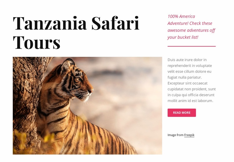 Tanzanie safari výlety Html Website Builder