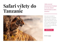 Tanzanie Safari Výlety - Nejlepší HTML Šablona