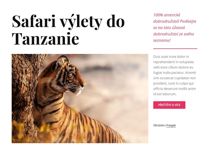 Tanzanie safari výlety Šablona HTML
