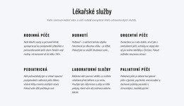 Rozvržení Webu Pro Paliativní Péče