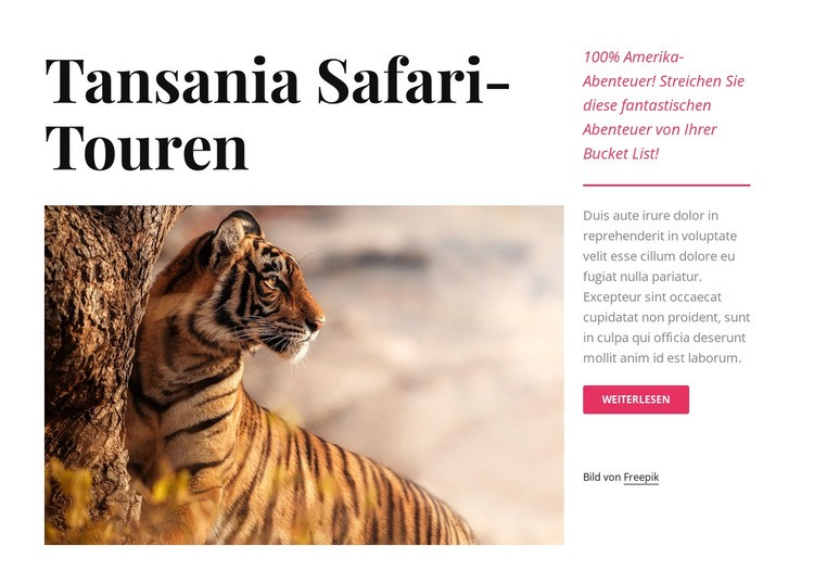 Tansania Safari-Touren Eine Seitenvorlage
