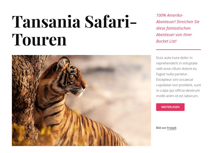 Tansania Safari-Touren WordPress-Theme