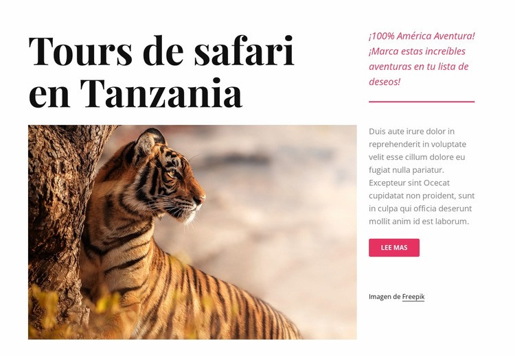 Tours de safari en Tanzania Maqueta de sitio web
