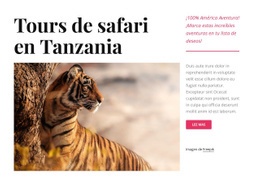 Tours De Safari En Tanzania Plantillas De Diseño