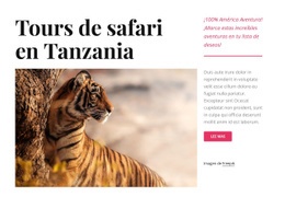 Tours De Safari En Tanzania - Plantilla Creativa Multipropósito