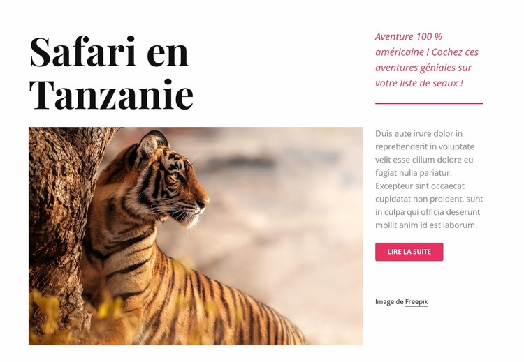 Safari en Tanzanie Créateur de site Web HTML