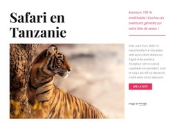Safari En Tanzanie - Inspiration Pour Une Maquette De Site Web