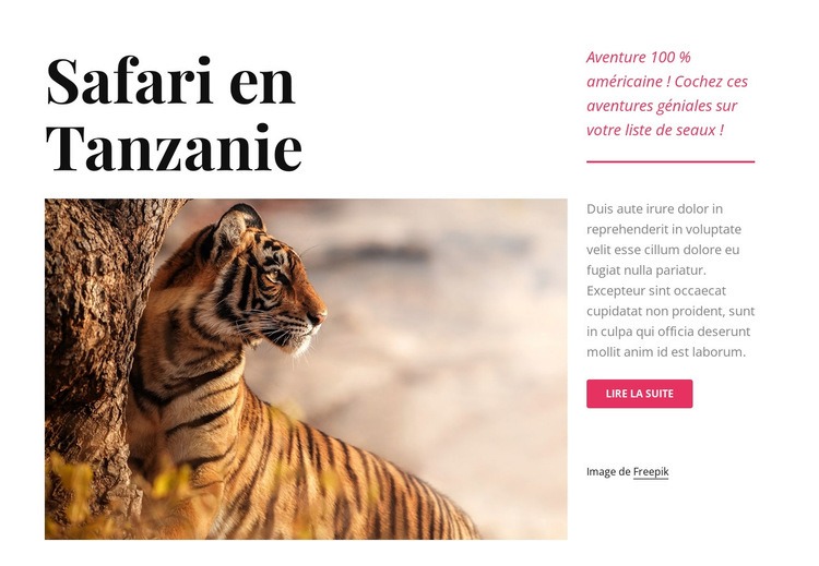 Safari en Tanzanie Maquette de site Web