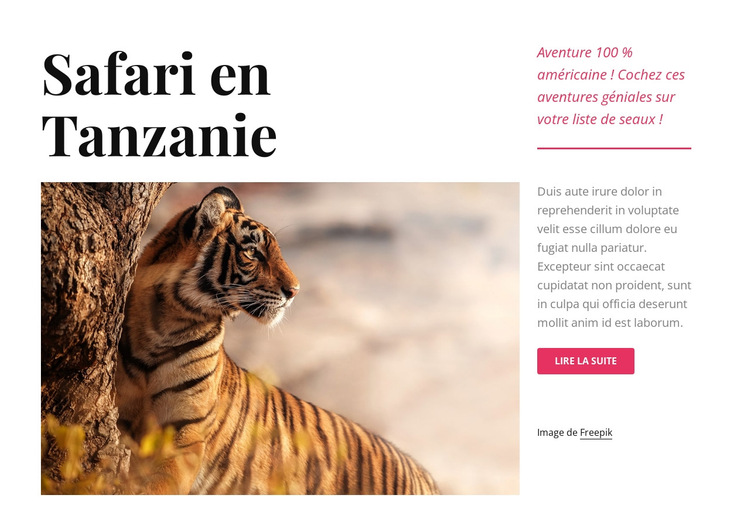 Safari en Tanzanie Modèle de site Web
