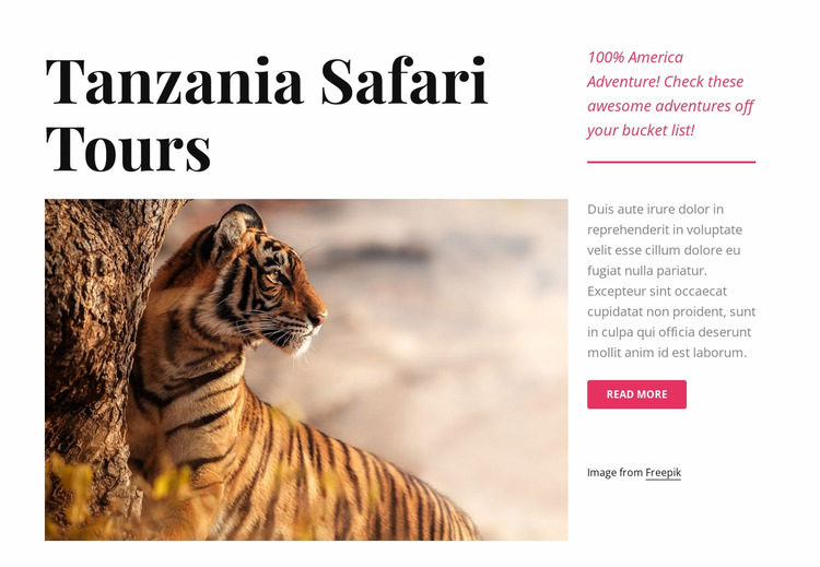 Tanzania safari tours Html Website Builder