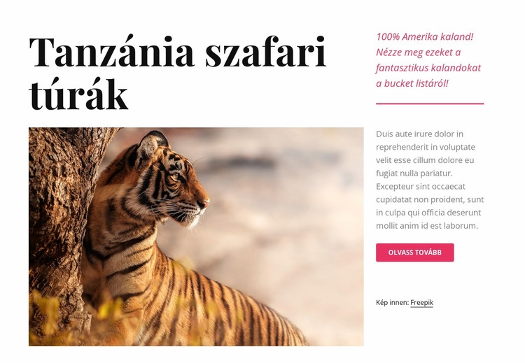 Tanzániai szafari túrák HTML Sablon