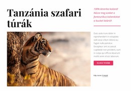 Tanzániai Szafari Túrák - Egyszerű Webhelysablon