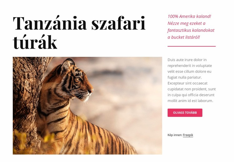 Tanzániai szafari túrák Weboldal sablon