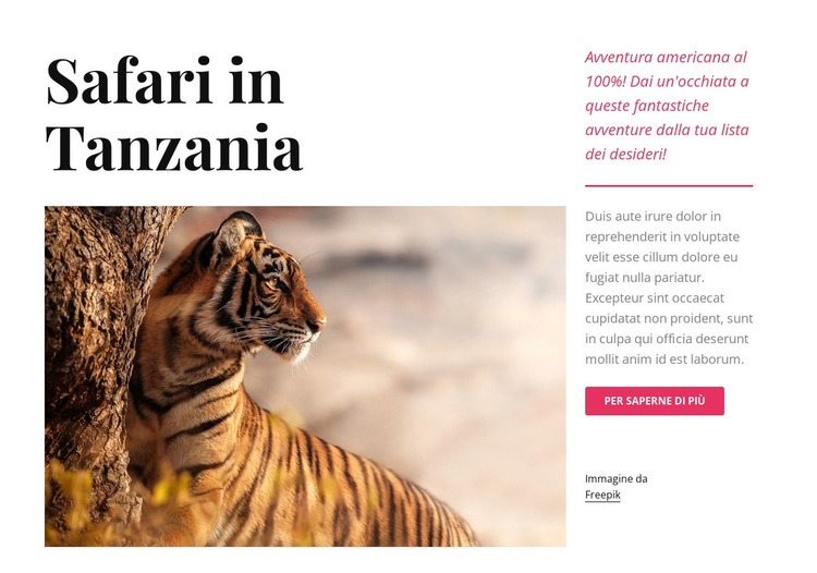 Safari in Tanzania Mockup del sito web