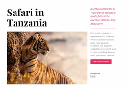 Safari In Tanzania User Dashboard