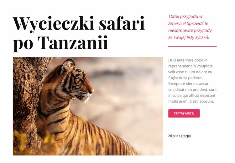 Wycieczki safari po Tanzanii Makieta strony internetowej