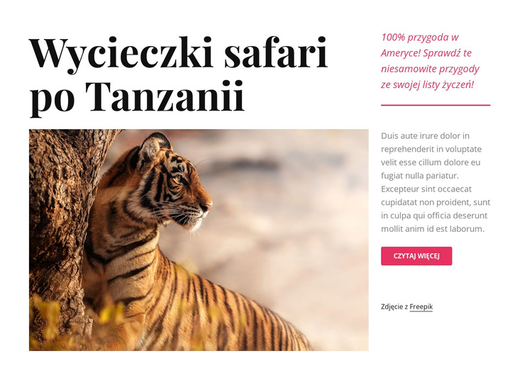 Wycieczki safari po Tanzanii Motyw WordPress