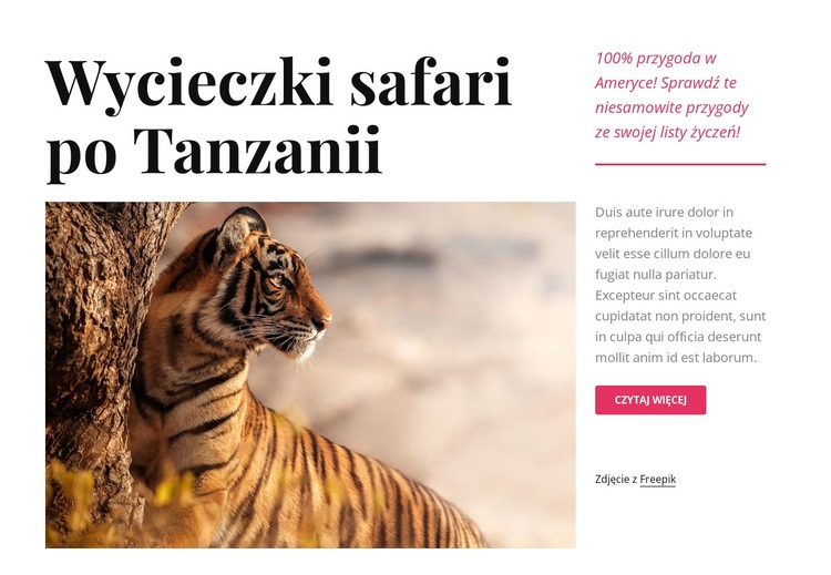 Wycieczki safari po Tanzanii Szablon