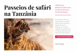 Passeios De Safári Na Tanzânia - Inspiração Para Maquete De Site