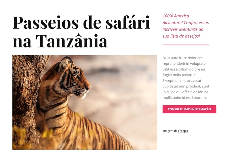 Passeios de safári na Tanzânia Modelo de uma página