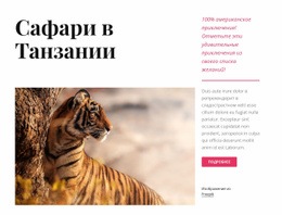 Сафари-Туры В Танзанию – Креативный Многоцелевой Шаблон