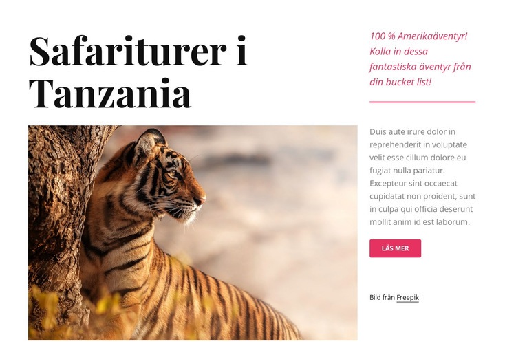 Tanzania safariturer HTML-mall