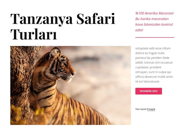 Tanzanya safari turları Bir Sayfa Şablonu