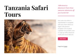 Tanzania Safari Tours - Professional Web Page Design