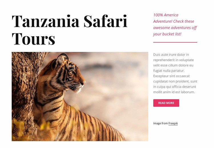 Tanzania safari tours Webflow Template Alternative
