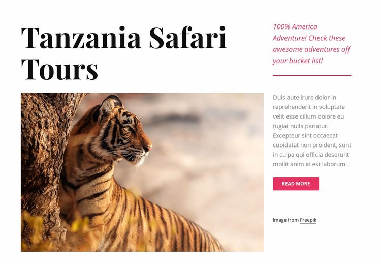 Tanzania safari tours Website Builder Templates