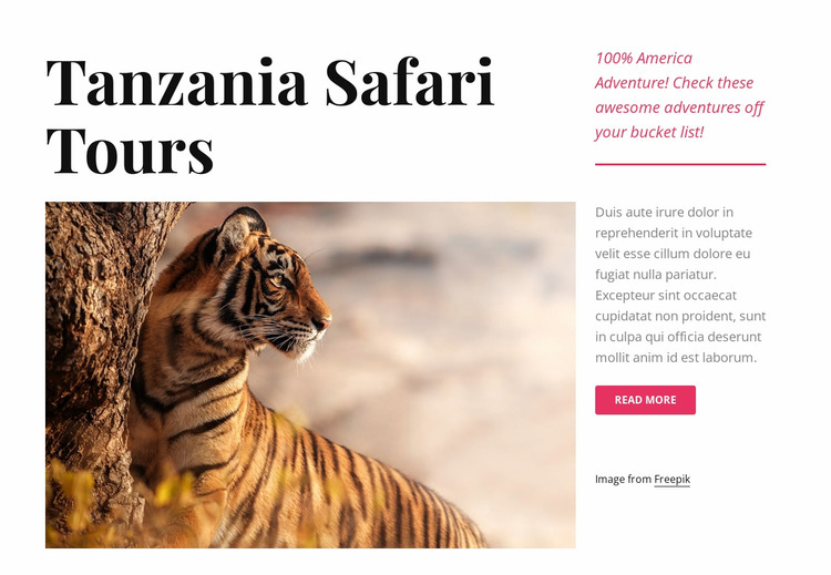 Tanzania safari tours Website Mockup