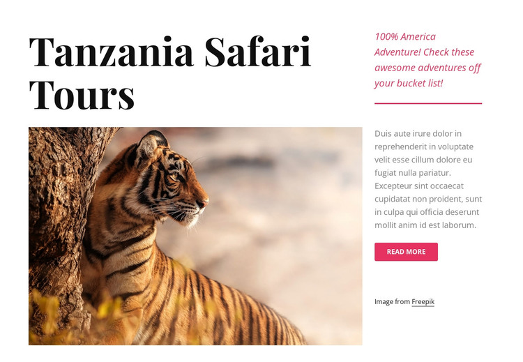 Tanzania safari tours WordPress Theme