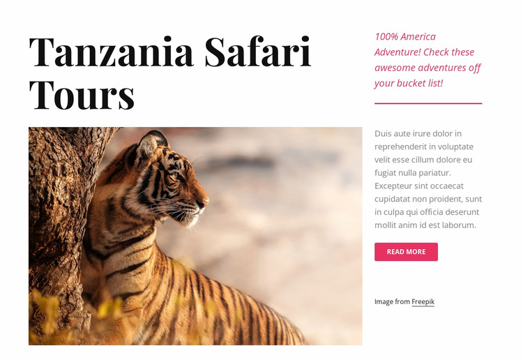 Tanzania safari tours WordPress Website Builder