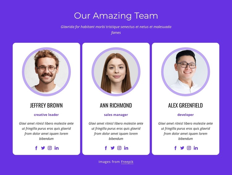 Our best professionals CSS Template
