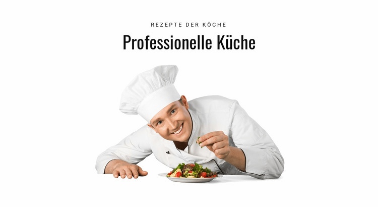 Professionelle Küche Website-Modell