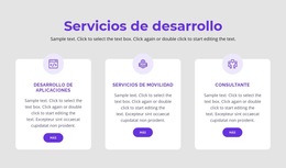 Nuestros Servicios De Desarrollo