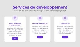 Nos Services De Développement – Superbe Maquette De Site Web