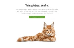 Conseils De Toilettage Pour Chat - Maquette De Site Web Polyvalente