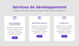 Nos Services De Développement