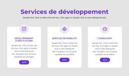 Nos Services De Développement : Modèle De Site Web Simple