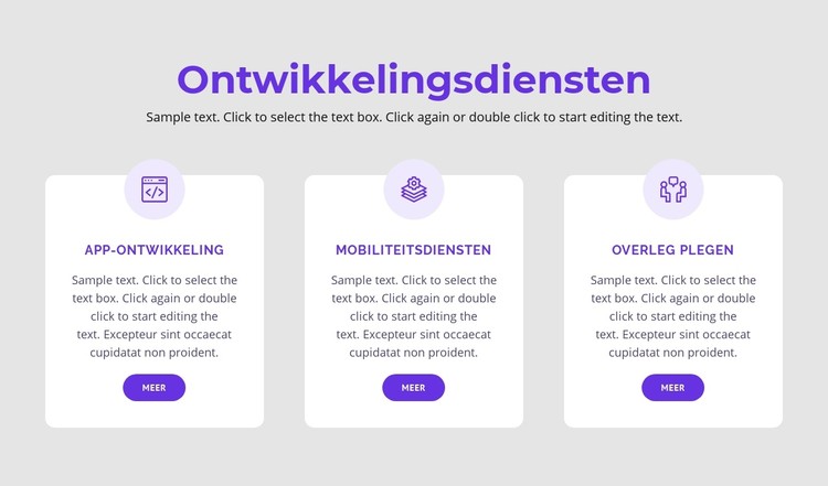 Onze ontwikkelingsdiensten CSS-sjabloon